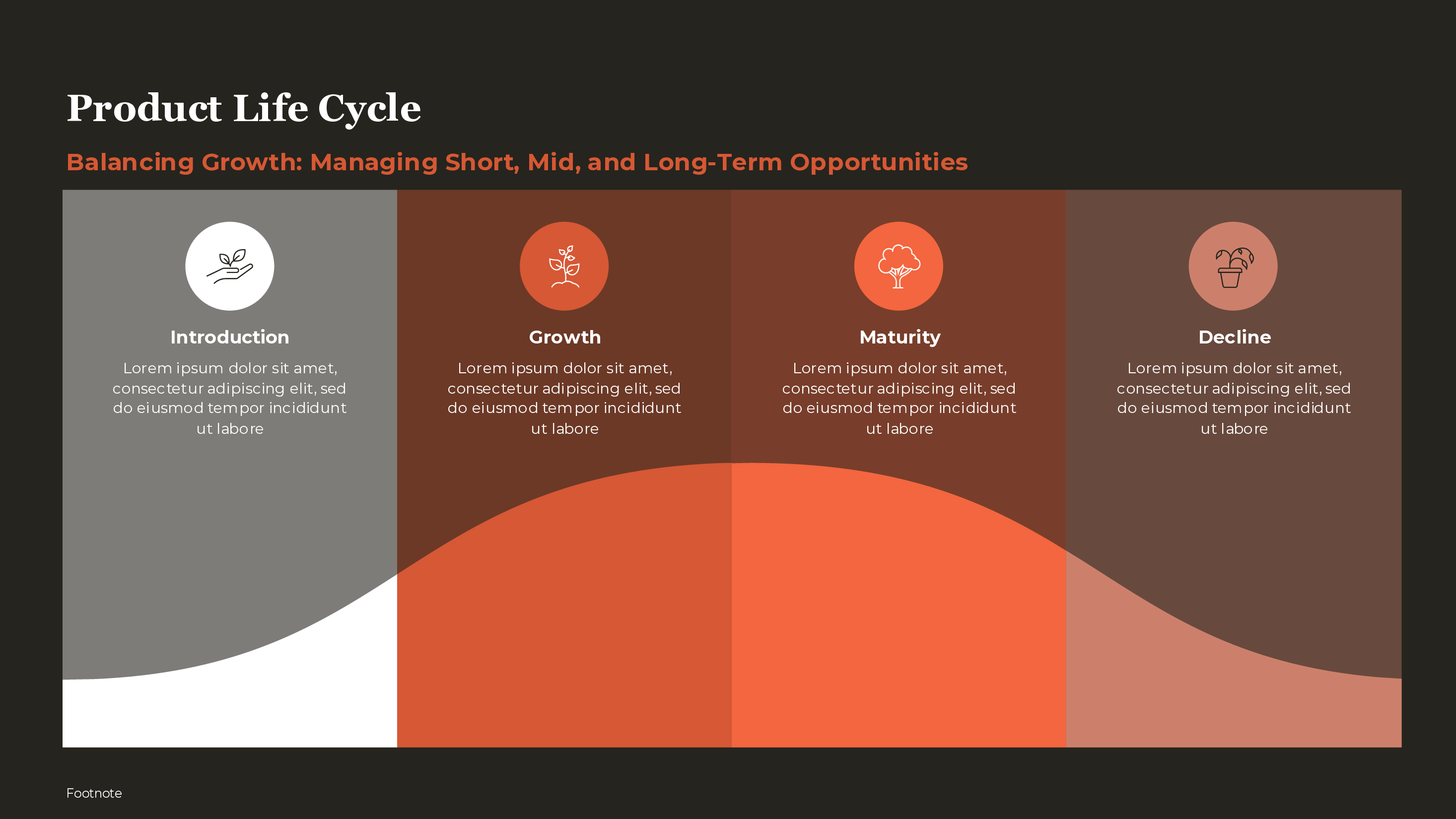 Product Life Cycle PowerPoint template preview
